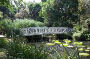 Bridge and lotus garden at Kanapaha Botanical Gardens, Gainesville, FL