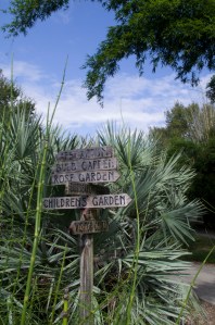 Which way to go? Kanapaha Botanical Gardens, Gainesville, FL